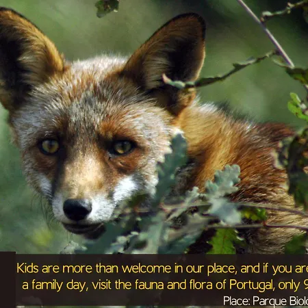 Hostal Origami Porto Residencia & *