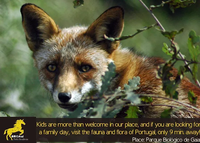 호스텔 Origami Porto Residencia & *