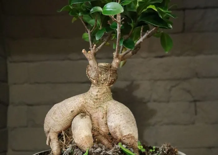 بيت شباب Origami Porto Residencia & فيلا نوفا دي غايا